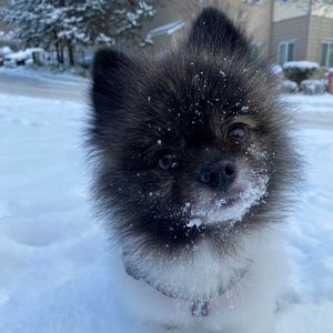 Meet your Posher, Nina